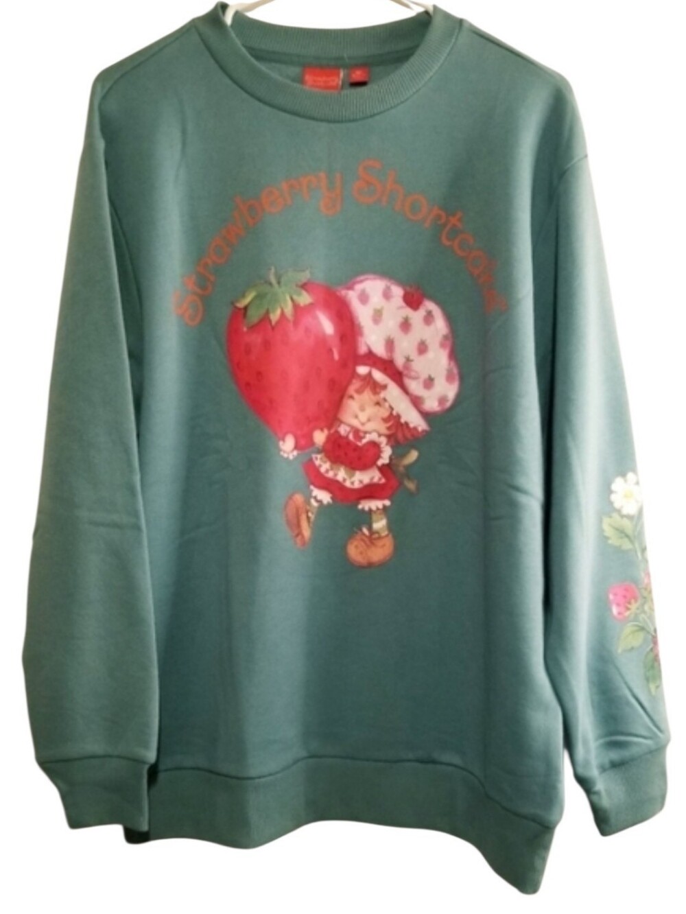 NEW Strawberry Shortcake Green Graphic Print Oversized Crewneck Sweatshirt NWOT